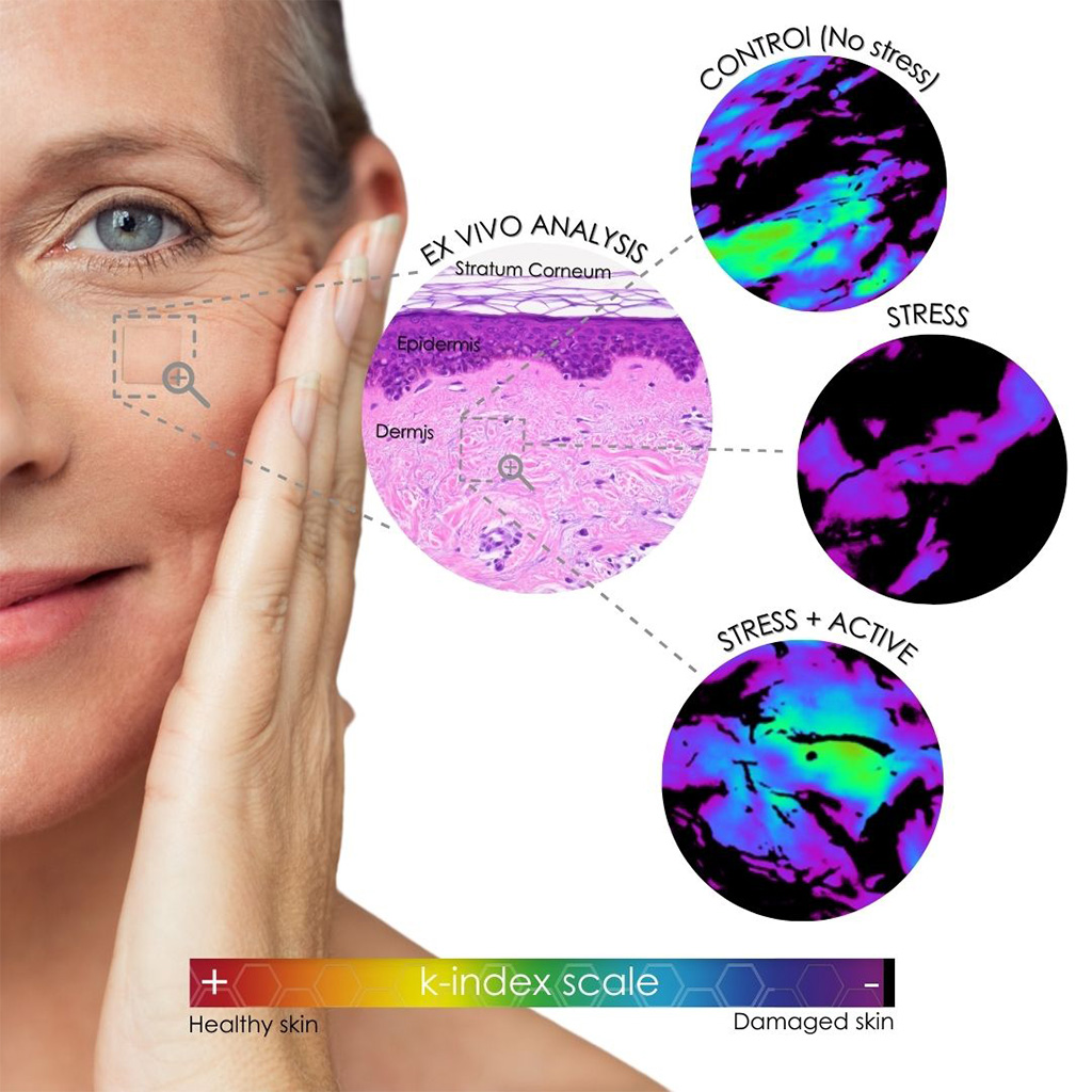 Skin anti-ageing